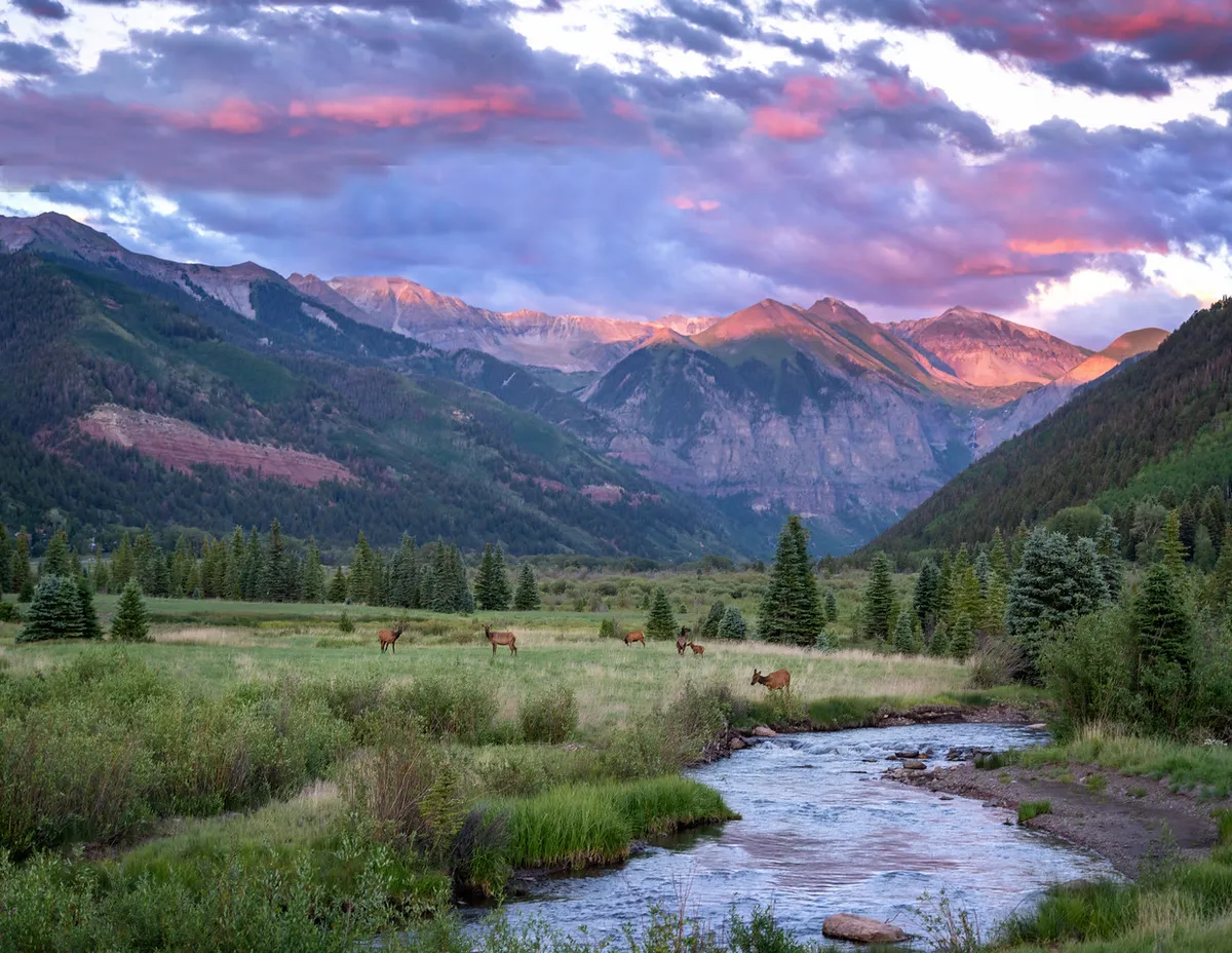 This exterior shot showcases a tranquil stream winding through a lush landscape with mountains in the background and abundant wildlife. The scene is peaceful and immersive, inviting viewers to imagine wildlife watching, hiking, and relaxing by the river.